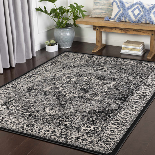 Mumbai MUM-2301 Machine Woven Rug