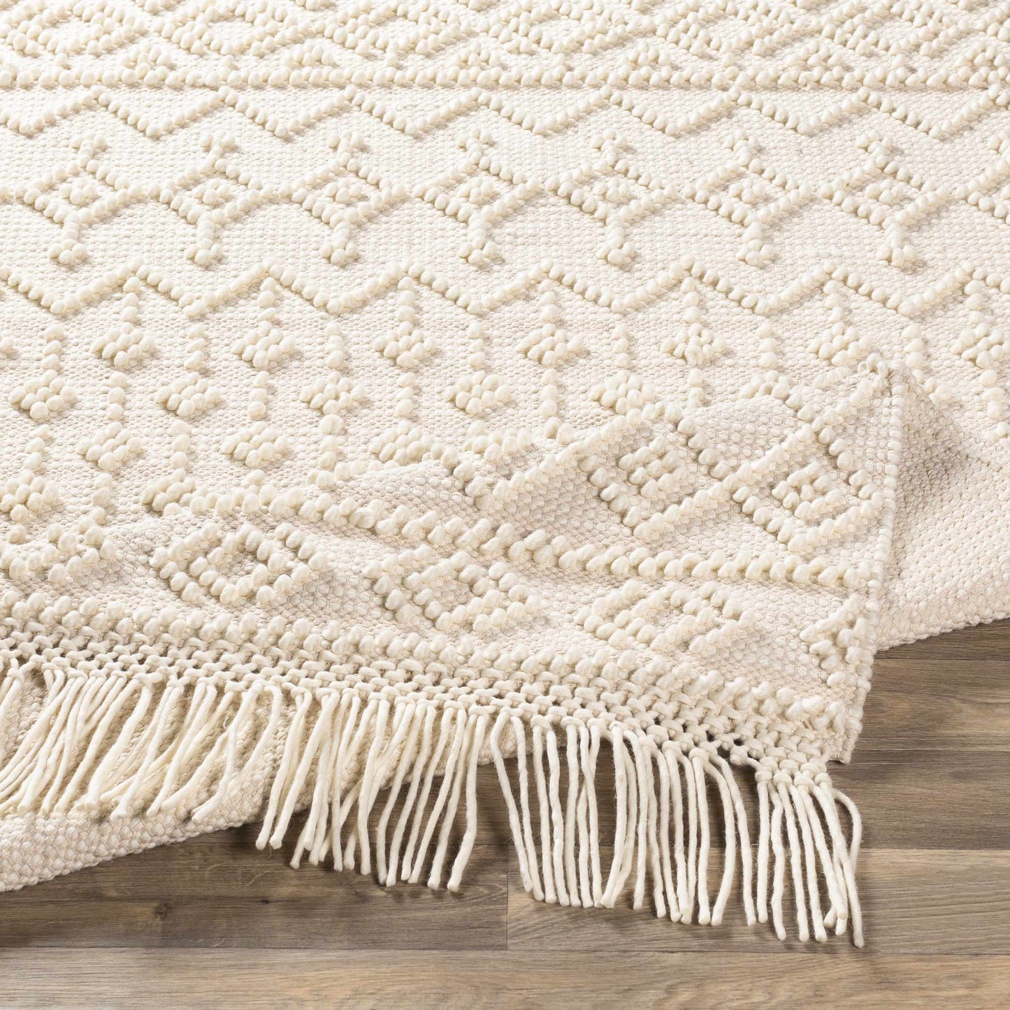Farmhouse Tassels FTS-2305 Hand Woven Rug