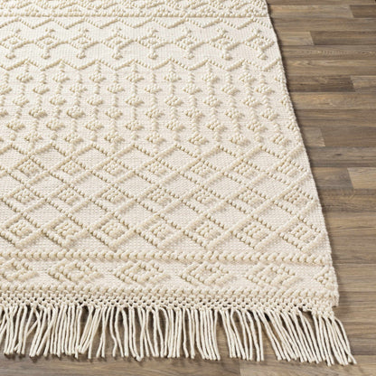 Farmhouse Tassels FTS-2305 Hand Woven Rug