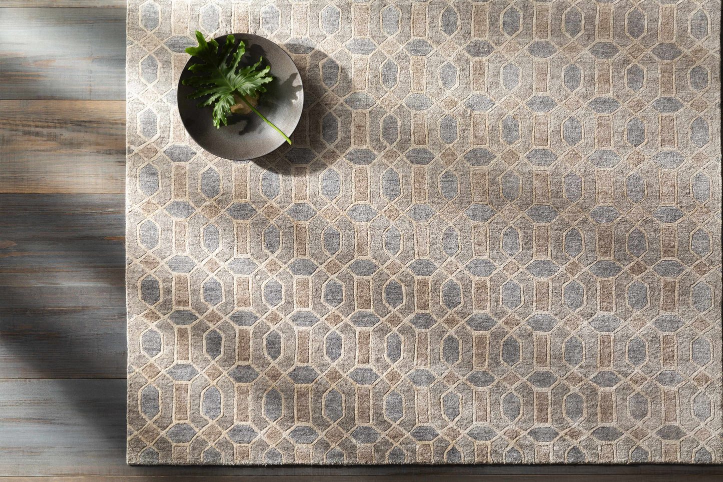 Florentine FNT-1002 Hand Knotted Rug