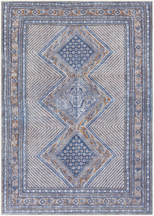 Amelie AML-2323 Machine Woven Rug
