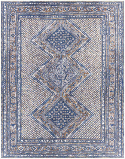 Amelie AML-2323 Machine Woven Rug