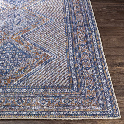 Amelie AML-2323 Machine Woven Rug