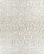 Trace TCE-2301 Hand Woven Rug