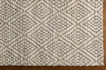 Trace TCE-2301 Hand Woven Rug