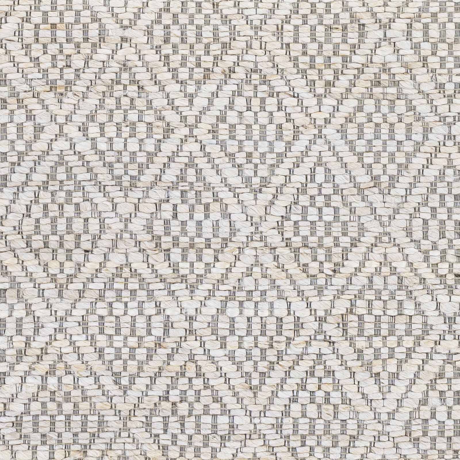 Trace TCE-2301 Hand Woven Rug