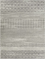 Tevazu TVZ-2387 Machine Woven Rug