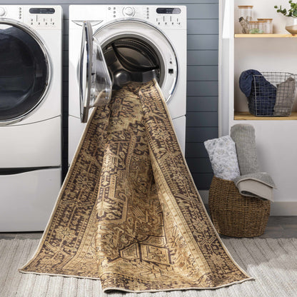 Amelie AML-2348 Machine Woven Rug