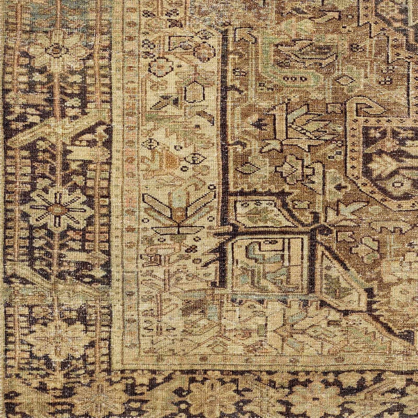 Amelie AML-2348 Machine Woven Rug
