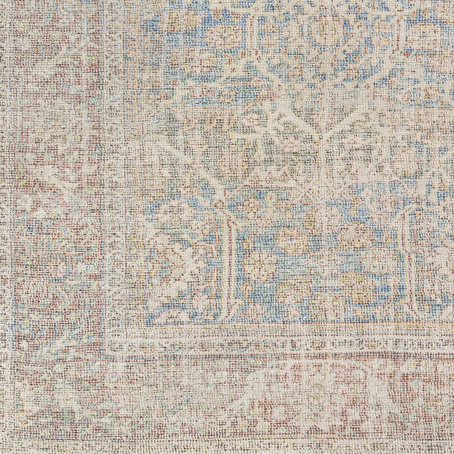 Amasya AMY-2303 Hand Woven Rug