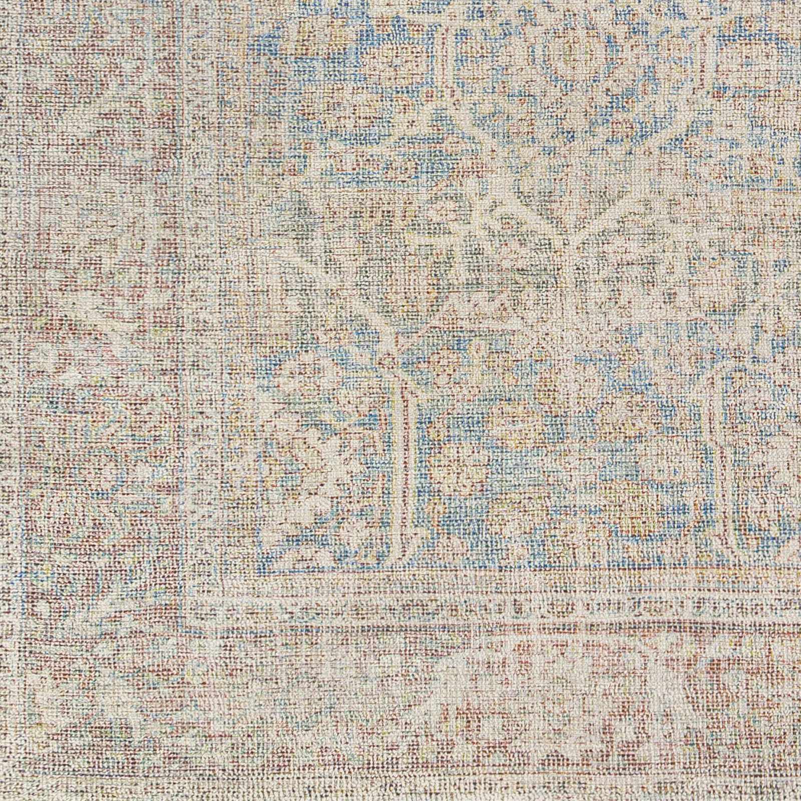 Amasya AMY-2303 Hand Woven Rug
