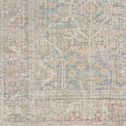 Amasya AMY-2303 Hand Woven Rug