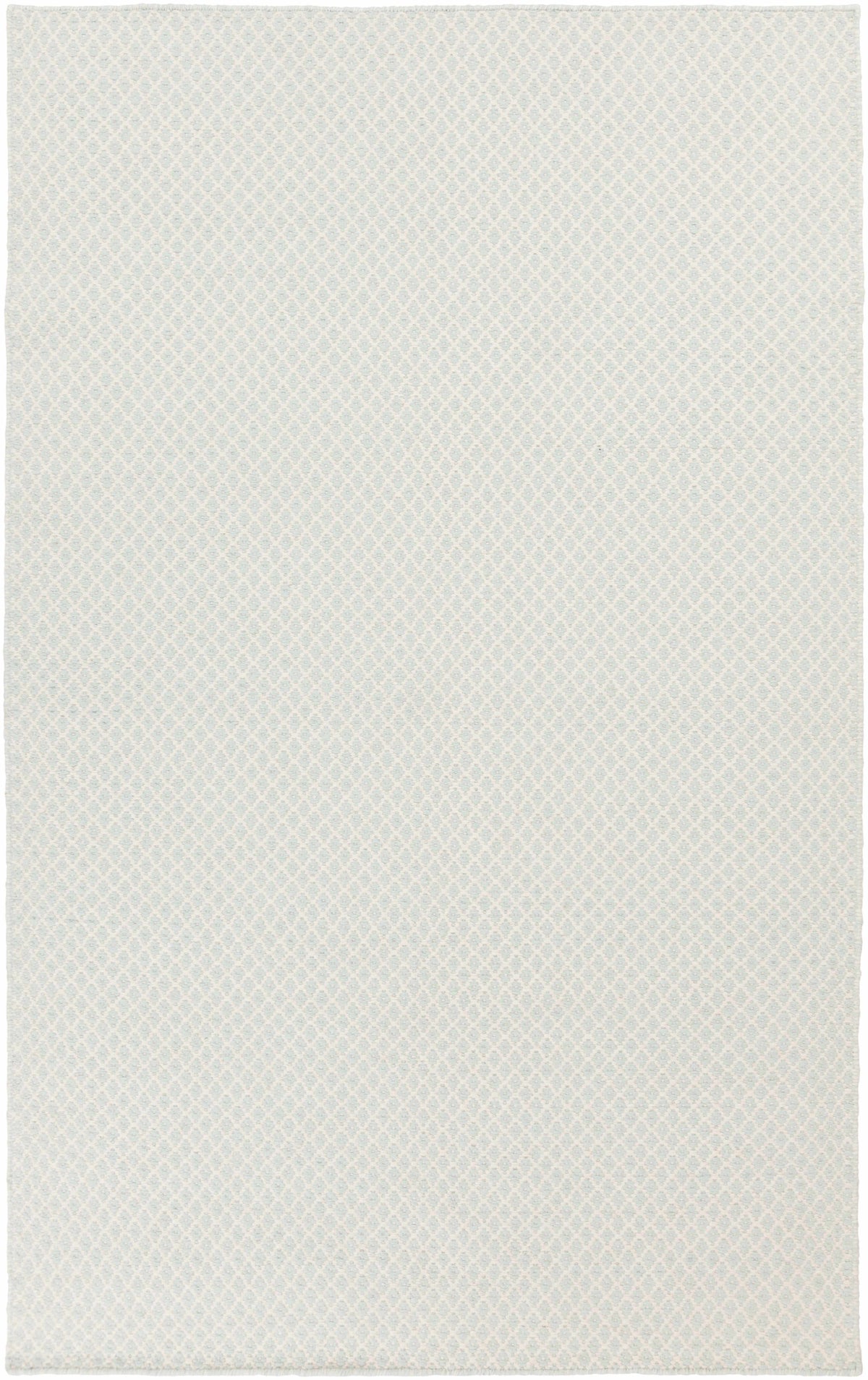 Ravena RVN-3113 Hand Woven Rug