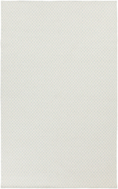 Ravena RVN-3113 Hand Woven Rug