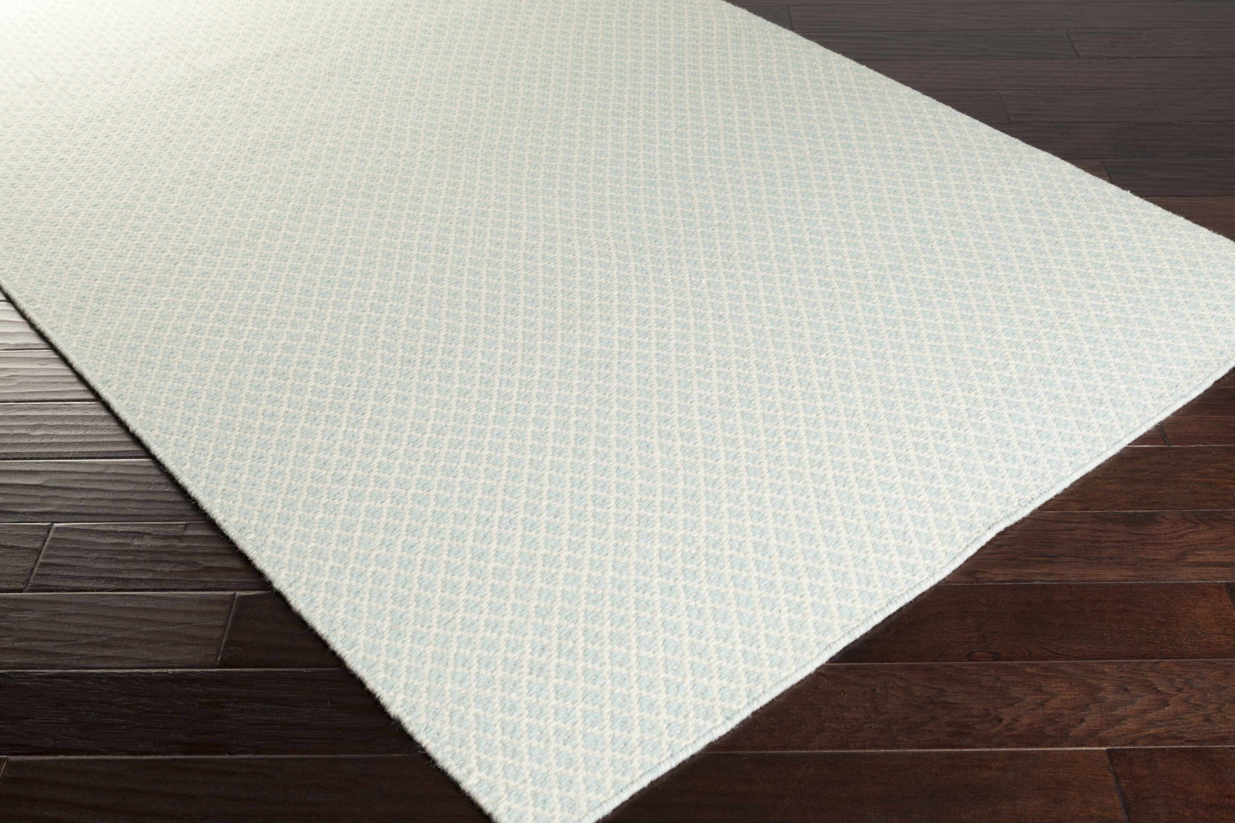 Ravena RVN-3113 Hand Woven Rug