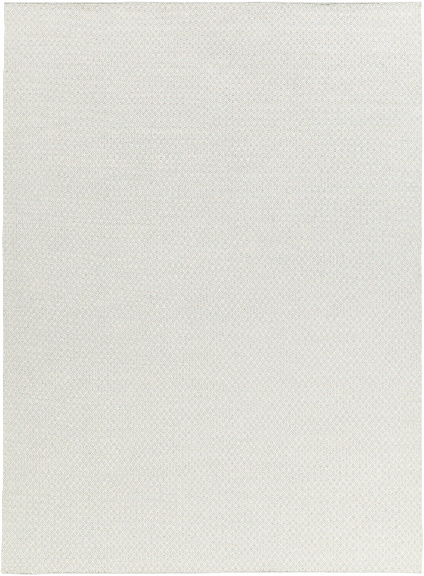 Ravena RVN-3113 Hand Woven Rug