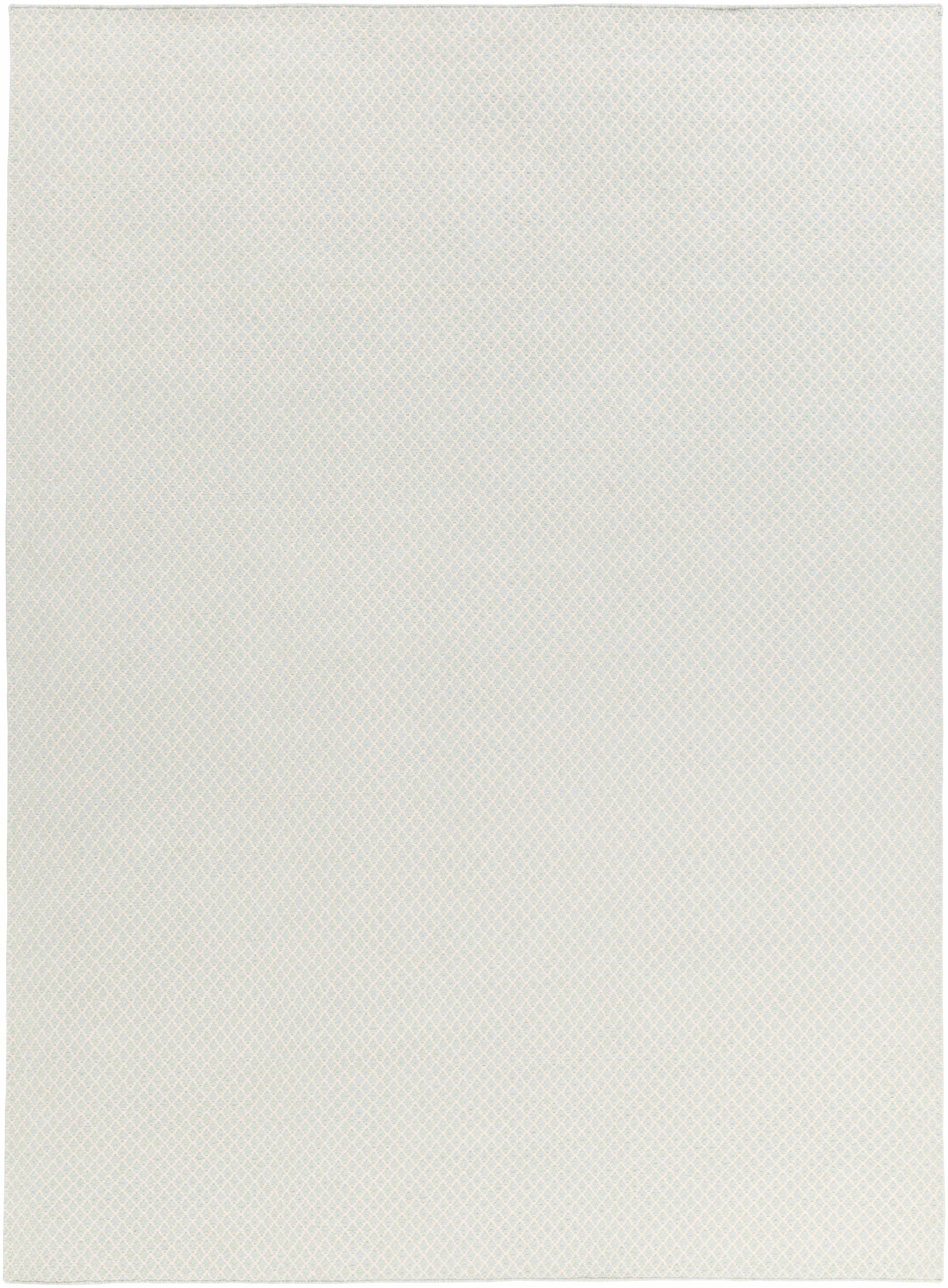 Ravena RVN-3113 Hand Woven Rug