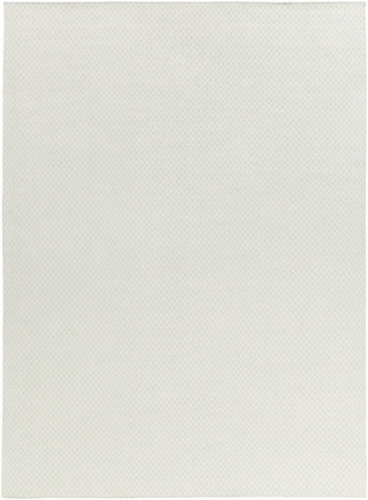 Ravena RVN-3113 Hand Woven Rug