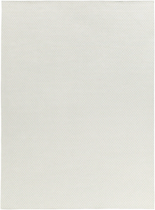 Ravena RVN-3113 Hand Woven Rug