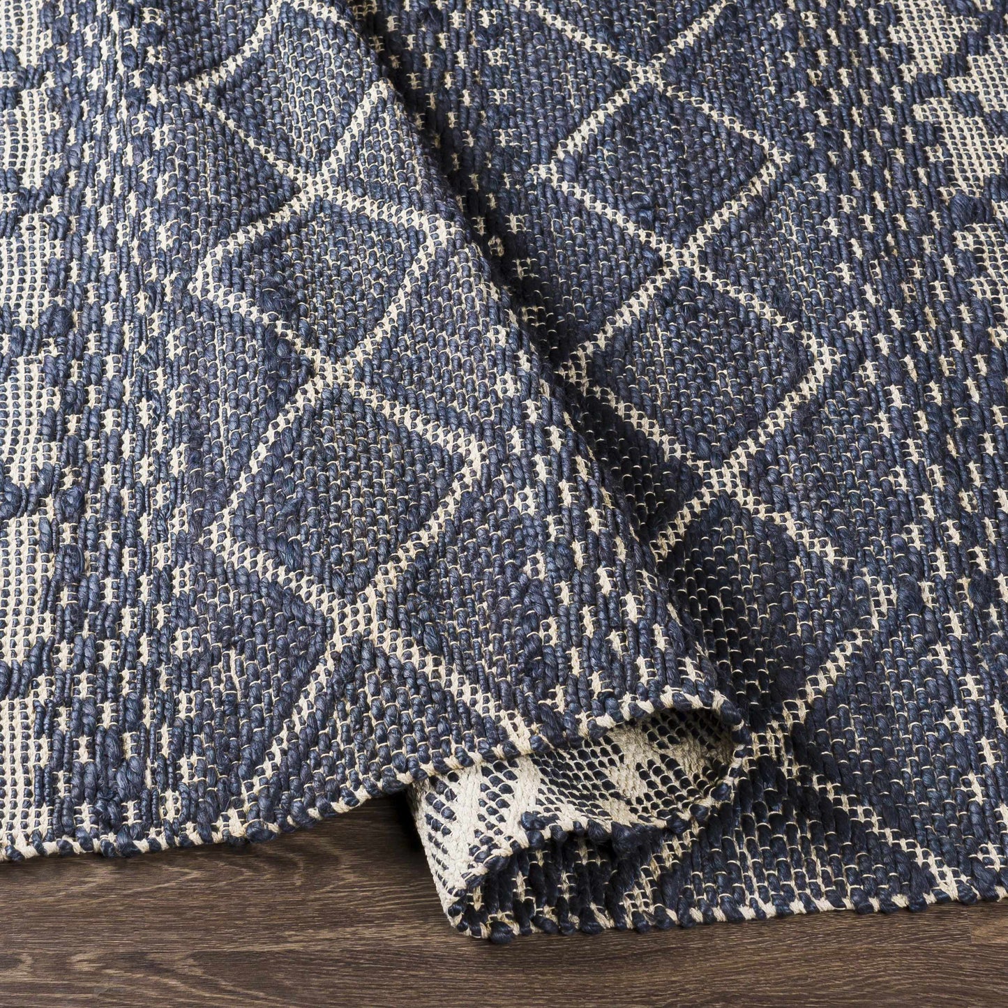 Santa Barbara SBB-2307 Hand Woven Rug