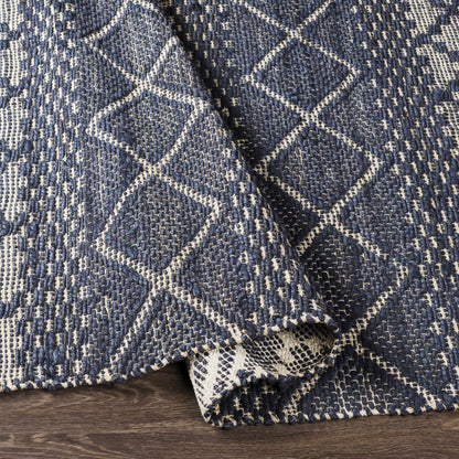 Santa Barbara SBB-2307 Hand Woven Rug