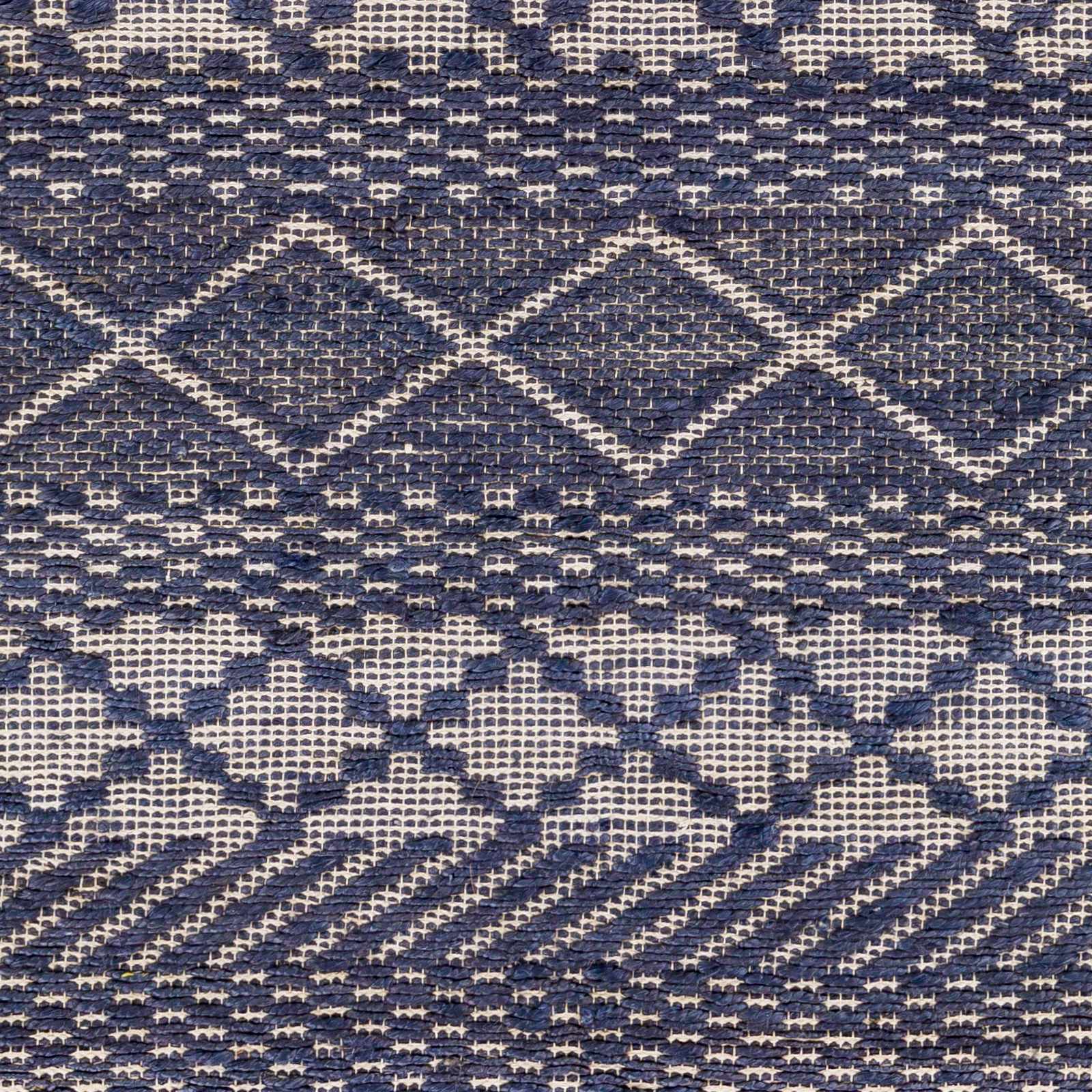 Santa Barbara SBB-2307 Hand Woven Rug