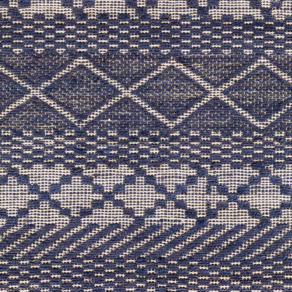 Santa Barbara SBB-2307 Hand Woven Rug