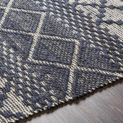 Santa Barbara SBB-2307 Hand Woven Rug