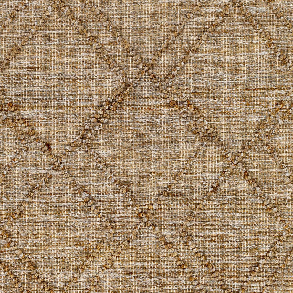 Regal RGL-2302 Hand Woven Rug