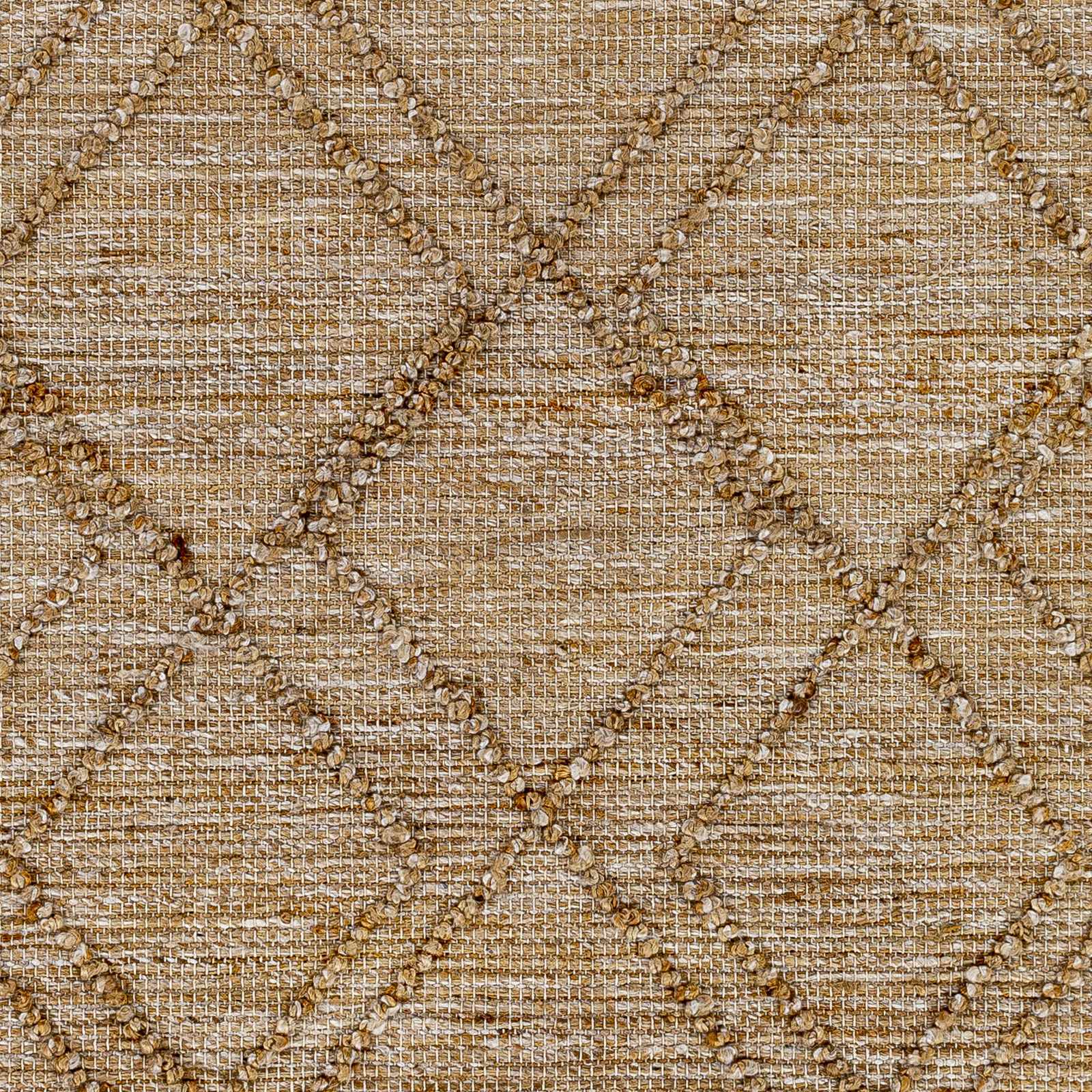 Regal RGL-2302 Hand Woven Rug