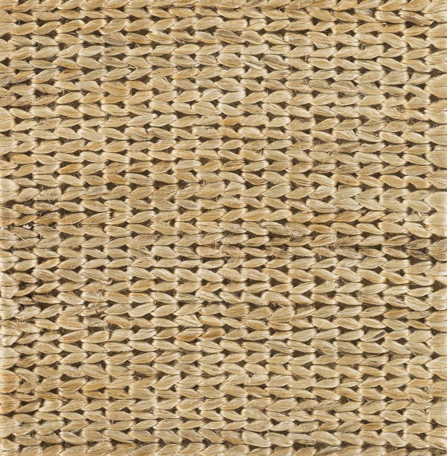 Tropics TRO-1009 Hand Woven Rug