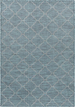 Pasadena PSA-2342 Machine Woven Rug