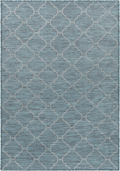 Pasadena PSA-2342 Machine Woven Rug