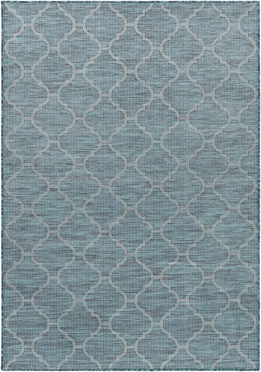 Pasadena PSA-2342 Machine Woven Rug