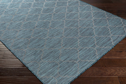 Pasadena PSA-2342 Machine Woven Rug