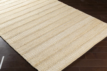 Aria IAA-1001 Hand Woven Rug