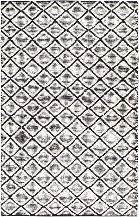 Santa Barbara SBB-2300 Hand Woven Rug