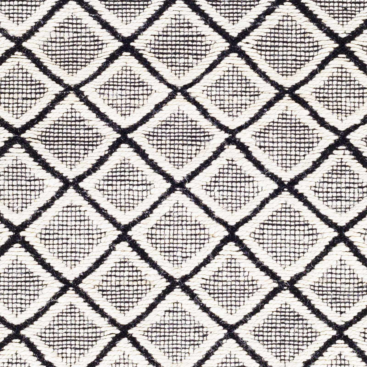 Santa Barbara SBB-2300 Hand Woven Rug