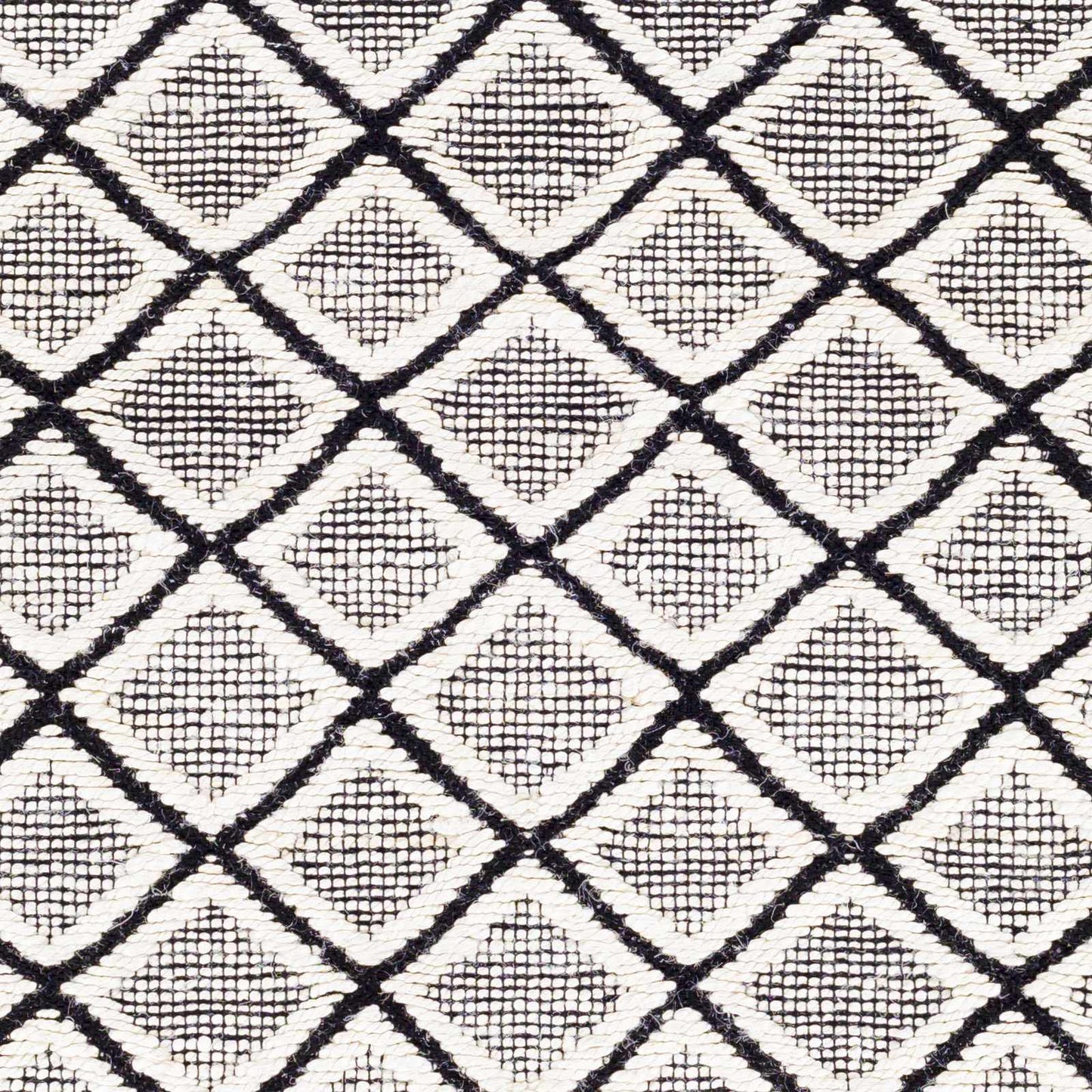 Santa Barbara SBB-2300 Hand Woven Rug