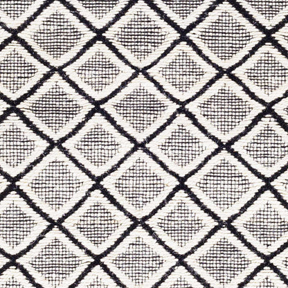 Santa Barbara SBB-2300 Hand Woven Rug