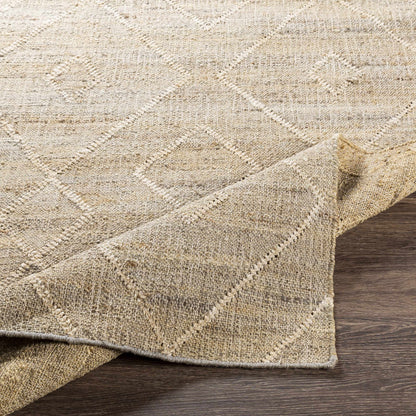 Cadence CEC-2307 Hand Woven Rug