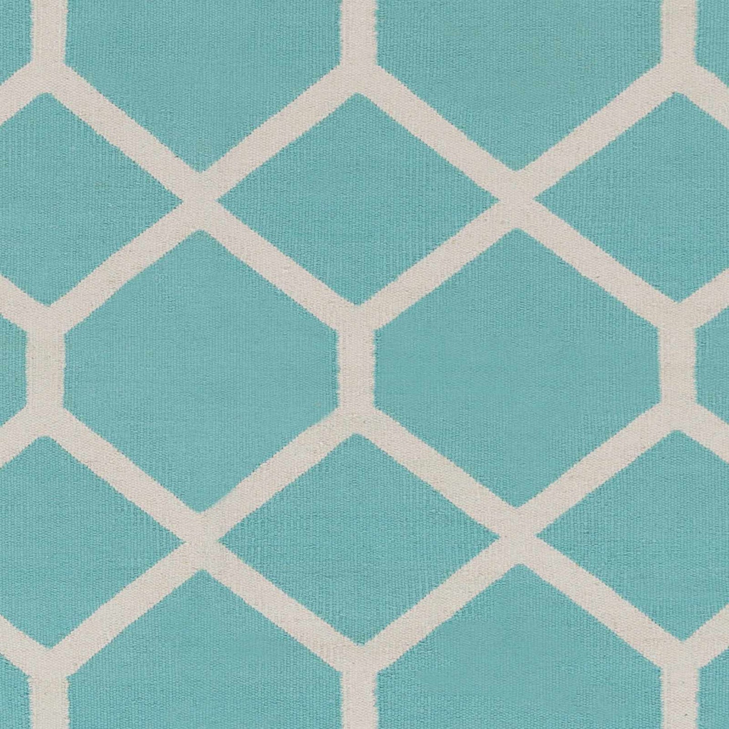 Vogue AWLT-3047 Hand Woven Rug