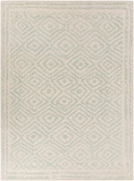 Atlas ATS-1007 Hand Knotted Rug