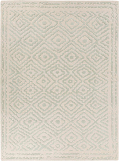 Atlas ATS-1007 Hand Knotted Rug