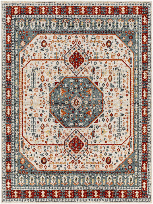 Tevazu TVZ-2338 Machine Woven Rug