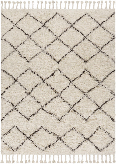 Beige Hand Woven 100% Wool Global Rectangle Handmade rug, Indoor use only, has fringe, non-washable.