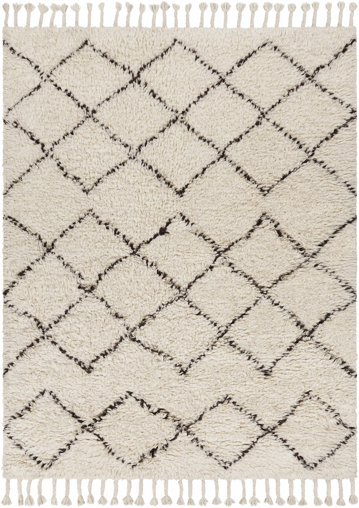 Beige Hand Woven 100% Wool Global Rectangle Handmade rug, Indoor use only, has fringe, non-washable.