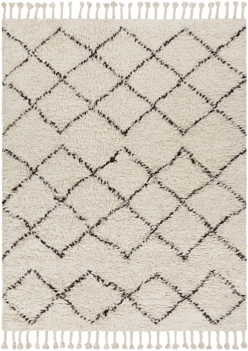 Beige Hand Woven 100% Wool Global Rectangle Handmade rug, Indoor use only, has fringe, non-washable.