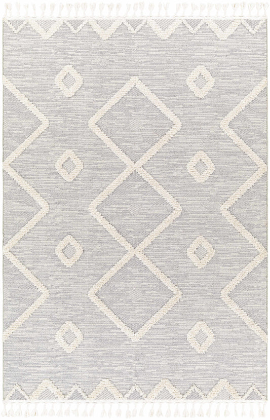 Azilal AZI-2314 Machine Woven Rug