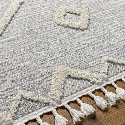 Azilal AZI-2314 Machine Woven Rug
